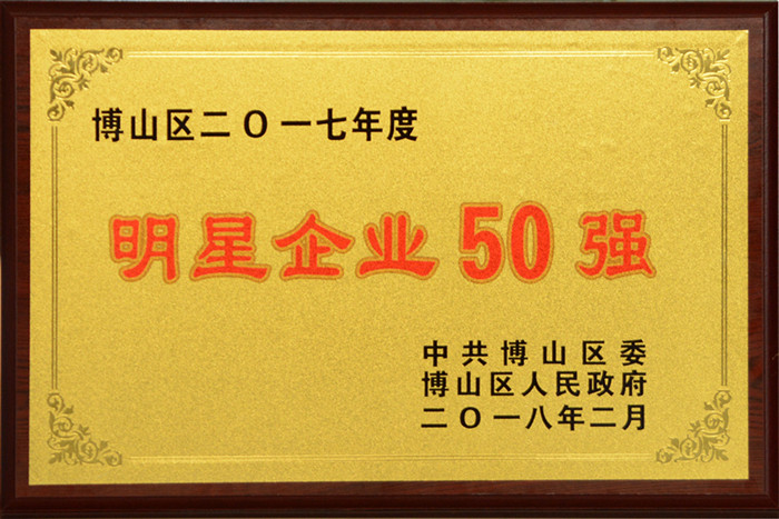 集團(tuán)公司榮獲“2017年度博山區(qū)明星企業(yè)50強(qiáng)”稱號